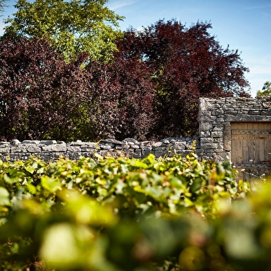 Domaine de la Ferté