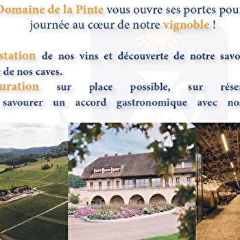 Un dimanche au Domaine de la Pinte - ARBOIS
