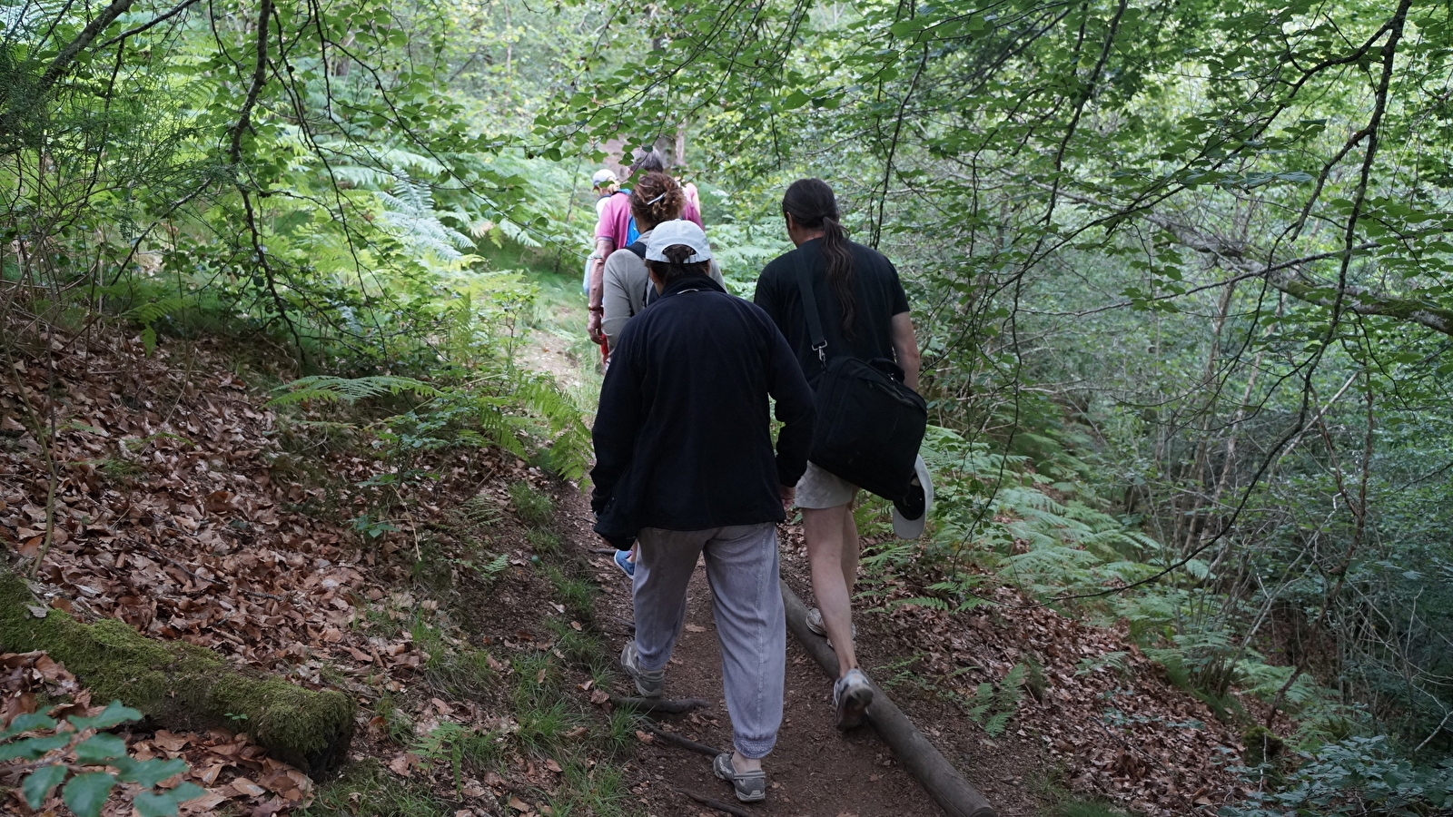 A la découverte de la cascade de Brisecou