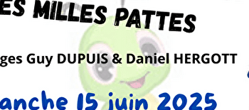 Tournoi des 1000 pattes : tournoi de basket - LUXEUIL-LES-BAINS