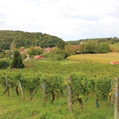 Domaine du tausson