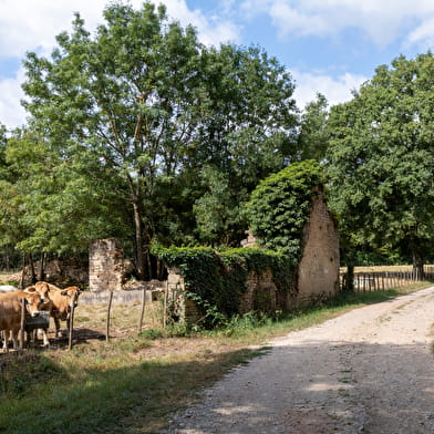 Montagne et bois de La Salle