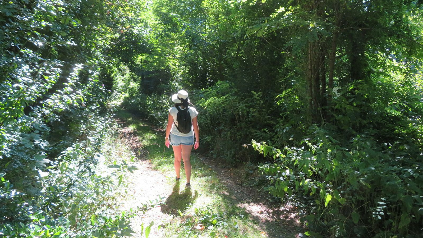 La Forêt des Hauts Bois