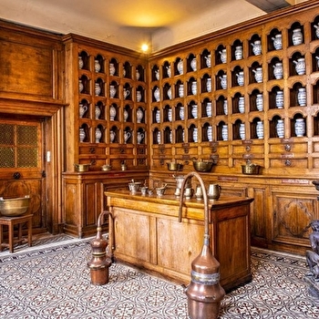 Visite costumée à l'Hôtel-Dieu de Seurre - SEURRE