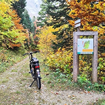 Parcours VTTAE 86 - rouge - La Panoramique - Espace VTT FFC Ain Forestière - MIJOUX