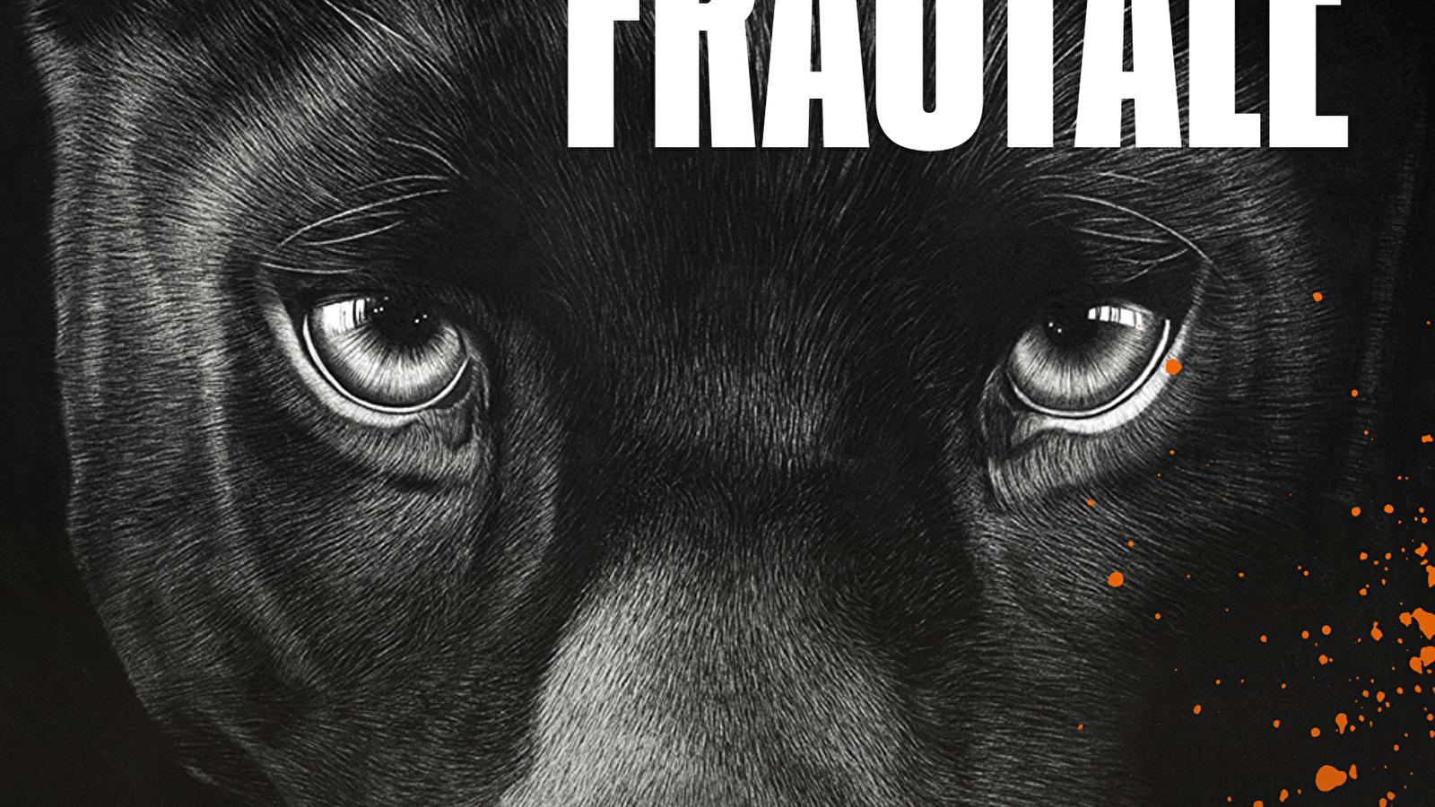 Réalité Fractale, l'exposition de SKIMA à la miellerie