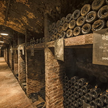 Festival de Bach à Bacchus - Visite des caves du Château de Meursault et dégustation - MEURSAULT