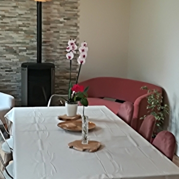 Gîte La Rose des Vignes - SAINT-ANDELAIN