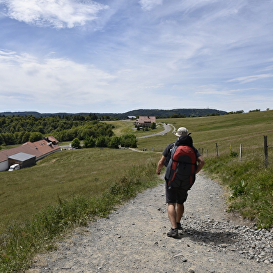 Traversée du Massif des Vosges à pied