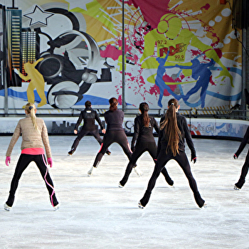 Stage Adultes de Patinage - MONETEAU