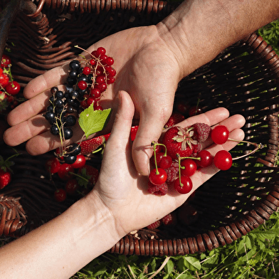 Les Climats et le Goût du Temps – voyage au cœur de notre terroir à la Ferme Fruirouge