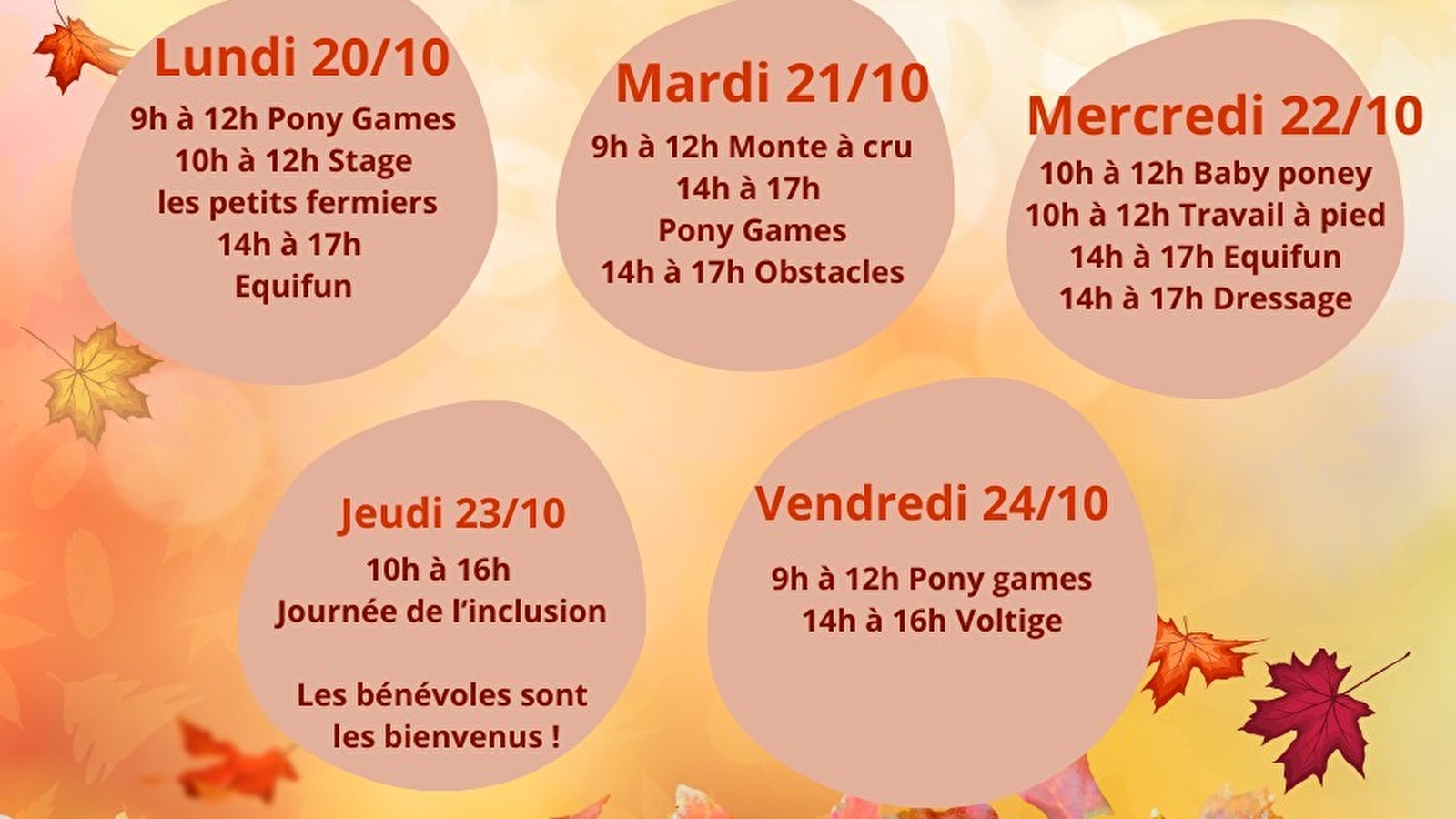 Stages Toussaint 2025 - 1ère semaine
