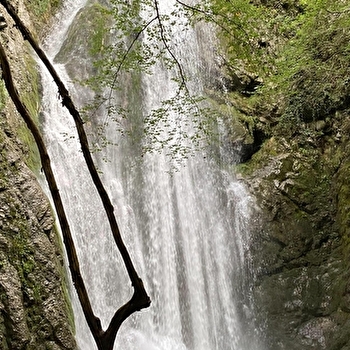 Randonnée pédestre : Forens - la cascade de l'Etrès - CHEZERY-FORENS