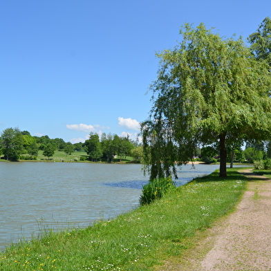 Baignade à l'étang des Prés de la Ville