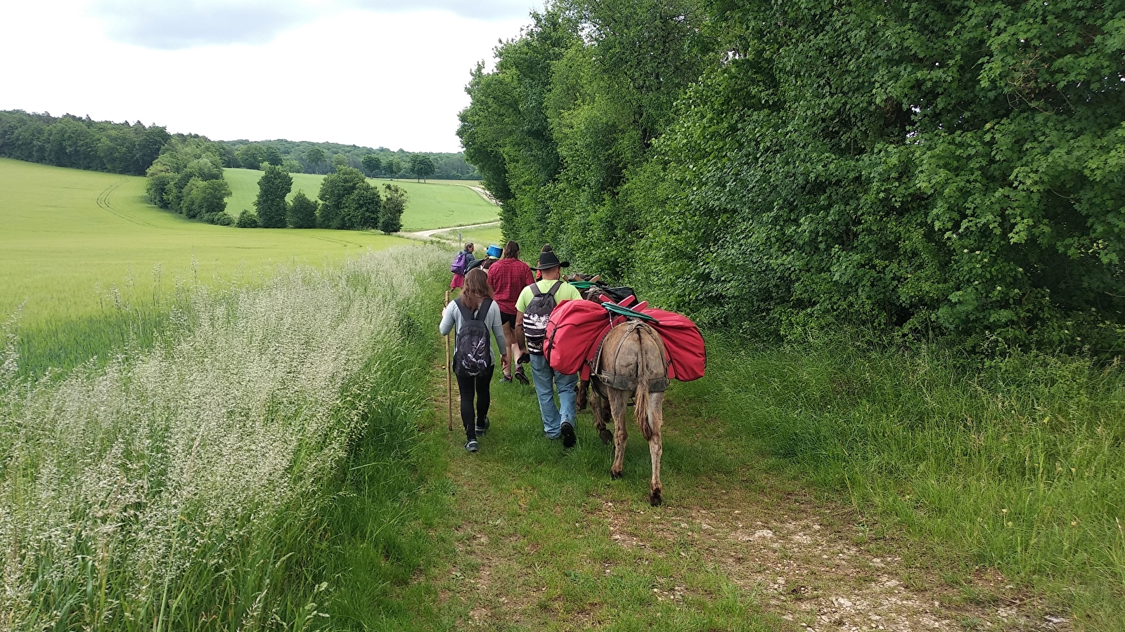 Donkey Ane, les ânes du Petit bonheur 21