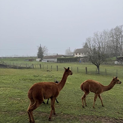 La Ferme des Rampes
