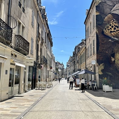 Chouette Appartement Dijon 