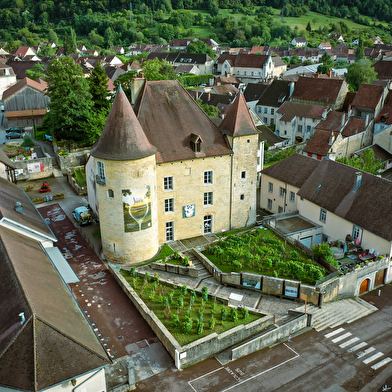 Balade en Arbois