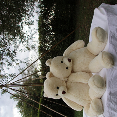 TEDDY BEARS PICNIC