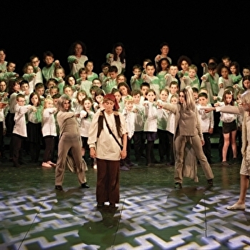 Comédie musicals : Le fabuleux voyage de Nils Holgersson - LUXEUIL-LES-BAINS