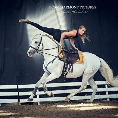 Cabaret Equestre