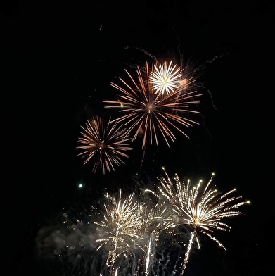 Fête du village