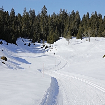 Site Nordique de la Haute Joux - Cerniébaud - Mignovillard - CERNIEBAUD