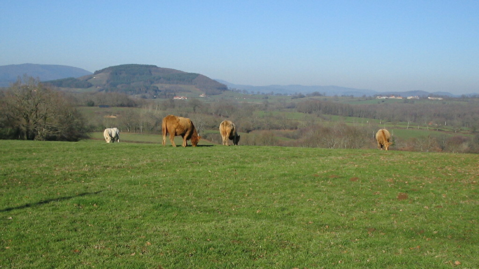 En montant à Dône