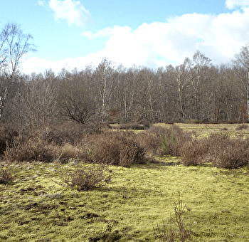 Escapades nature - Promenade sensorielle - CUISERY