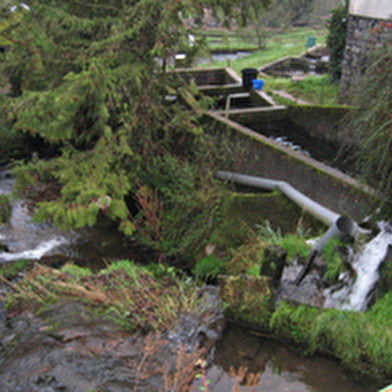 Pisciculture du breuchin