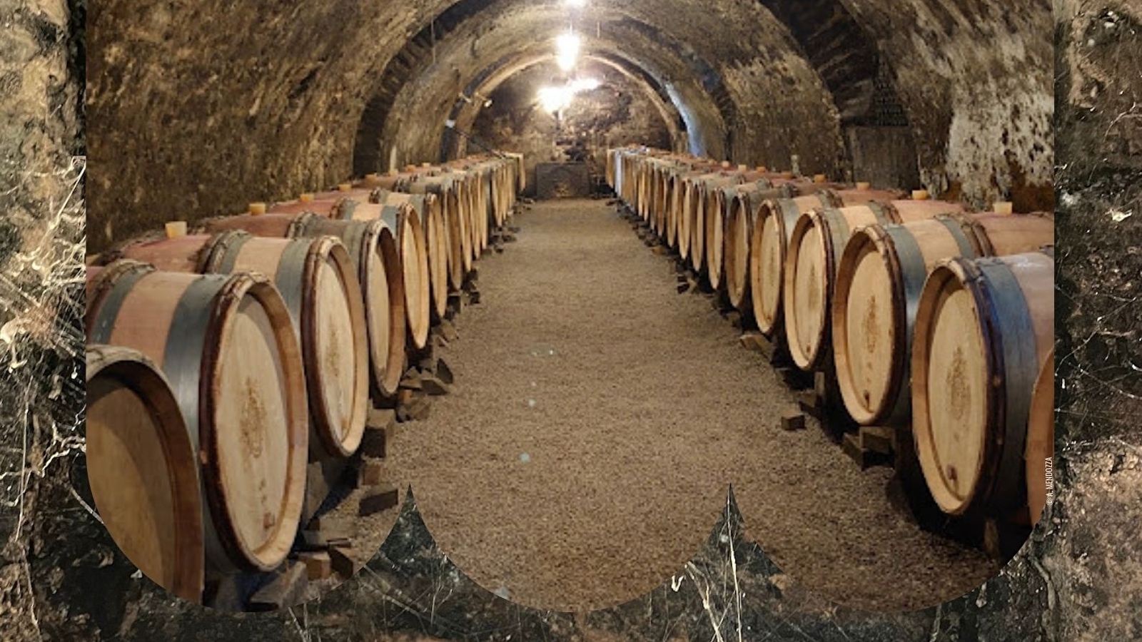 Les Dessous de Meursault, une visite culottée