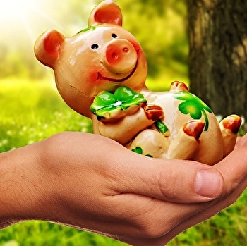Fête de la Saint-Cochon - LUCY-SUR-YONNE