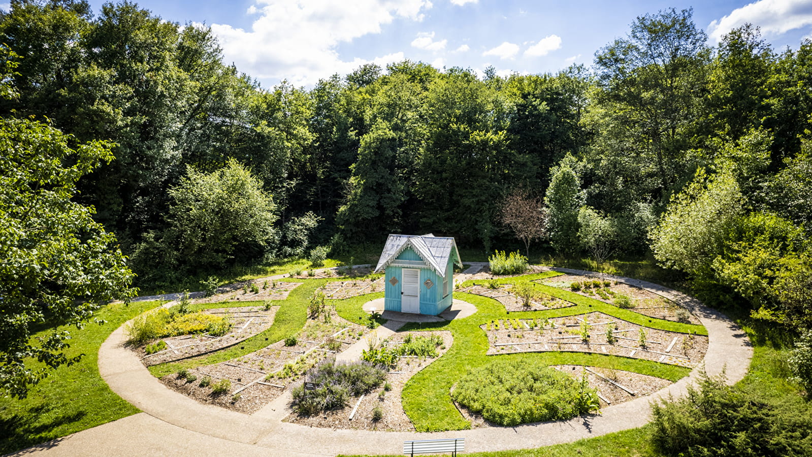 Festin de plantes