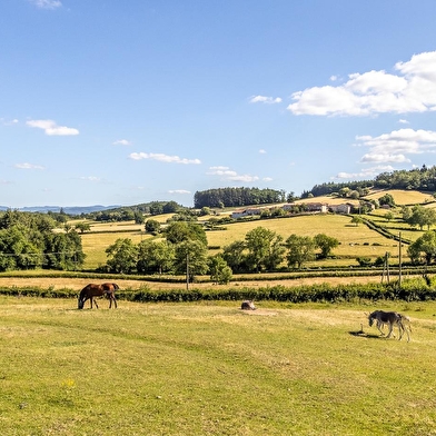 Le Grand Chêne Maréchal