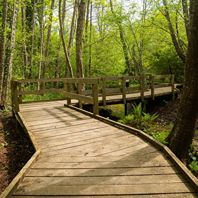 Sentier de la nature du domaine de la Beue de Lépido le papillon