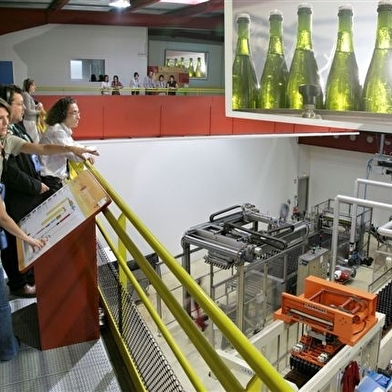 Veuve Ambal Crémant de Bourgogne - Visite du site de production