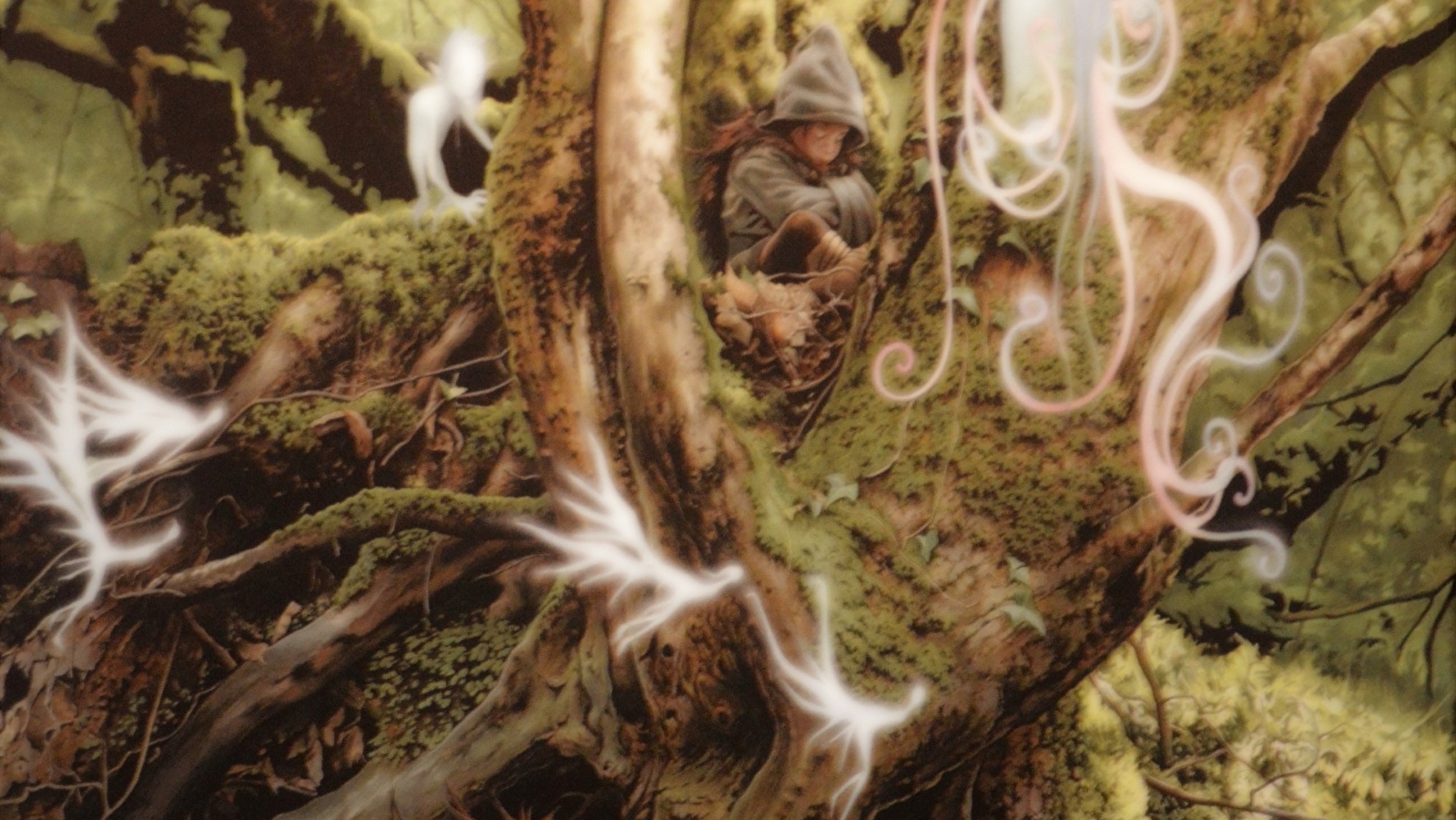 Théomir le magicien au Parc national de forêts