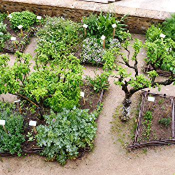 Le Jardin de Simples - CLUNY