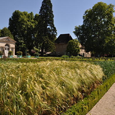 Jardin de l'Arquebuse - Jardin botanique