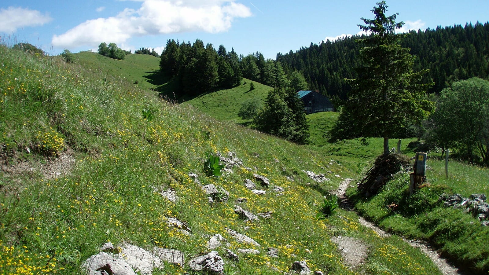 La Grande traversée du Jura à pied - GTJ pédestre