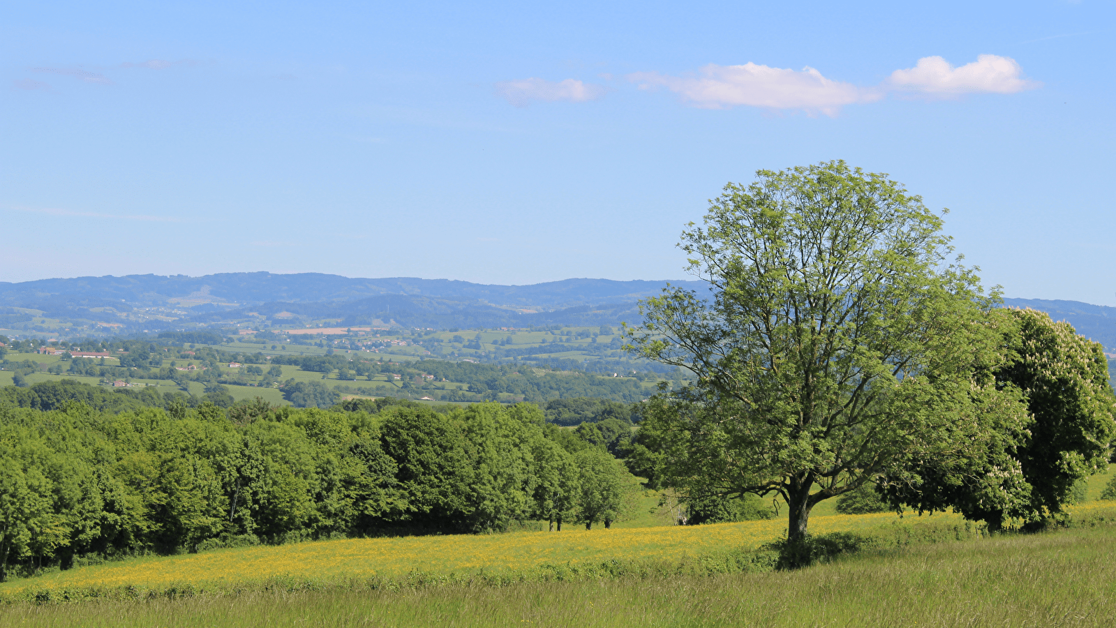 Boucle A8 : Les collines du Brionnais