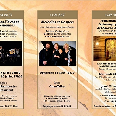 Festival de Bourgogne du Sud : Concert