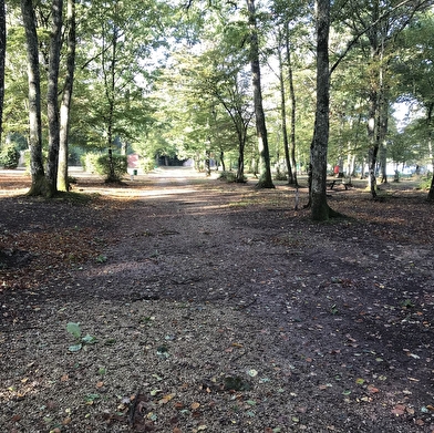 Camping de l'Etang du Rousset