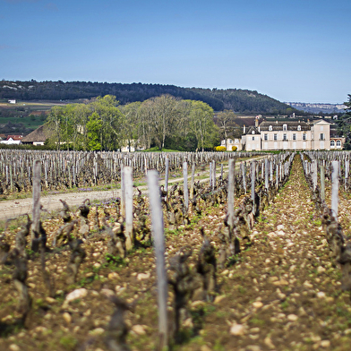 Dégustation Grands Terroirs au Château de Meursault