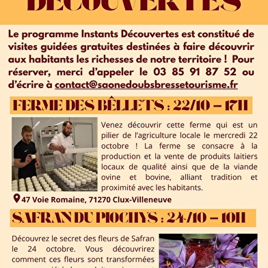 Les Instants Découvertes : visite gratuite Safran du Piochys