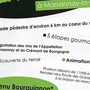 La Patarate Gourmande 2025 - MARSANNAY-LA-COTE