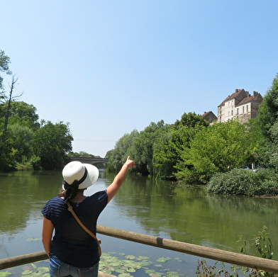 Ile de la sauvageonne