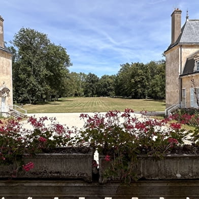 Foire aux plantes rares et couleurs d'automne