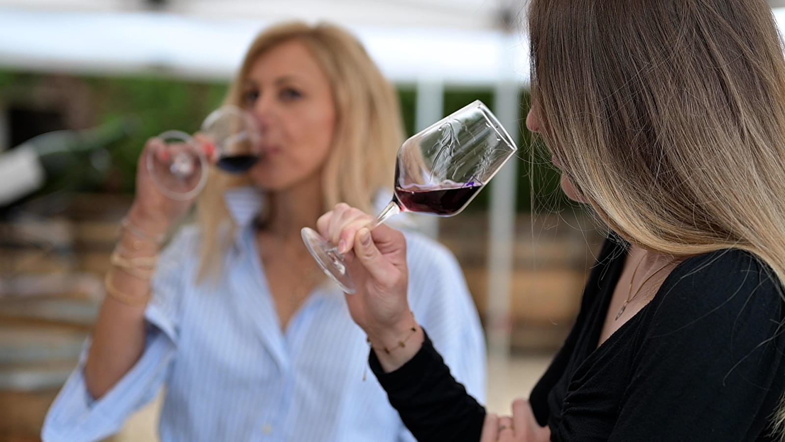 Le fascinant week-end des vins du Couchois 2024