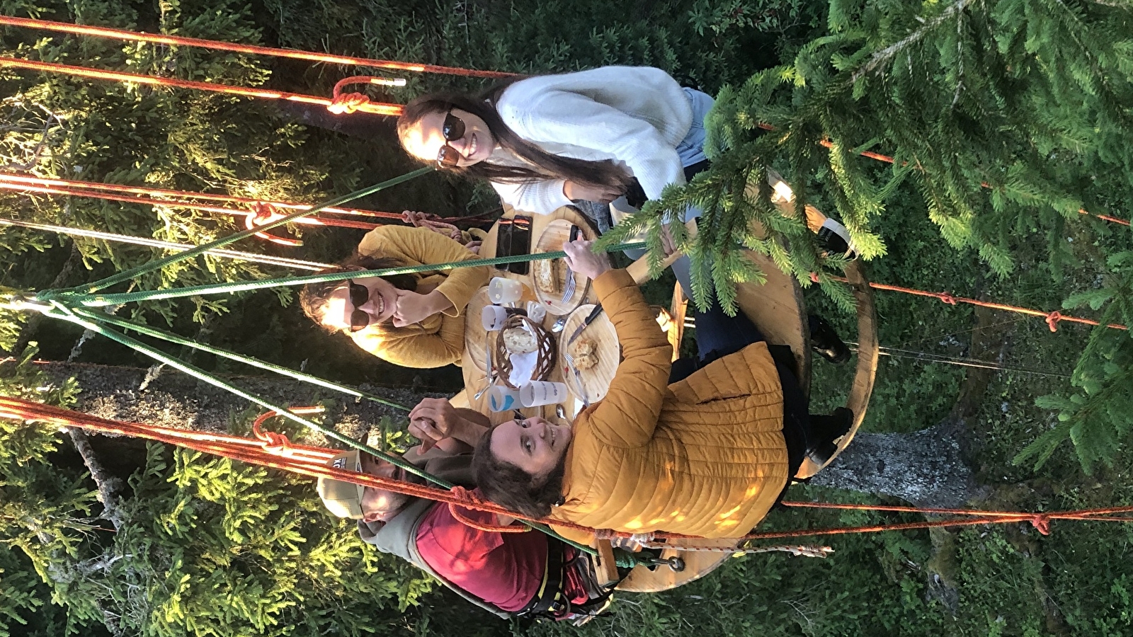Symbiose Forêt
